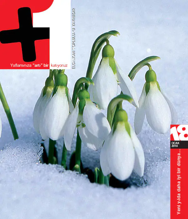 ECA - +1 Dergi 18.Sayi