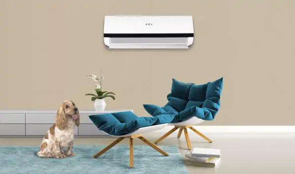 E.C.A. ile Serin Bir Yaz